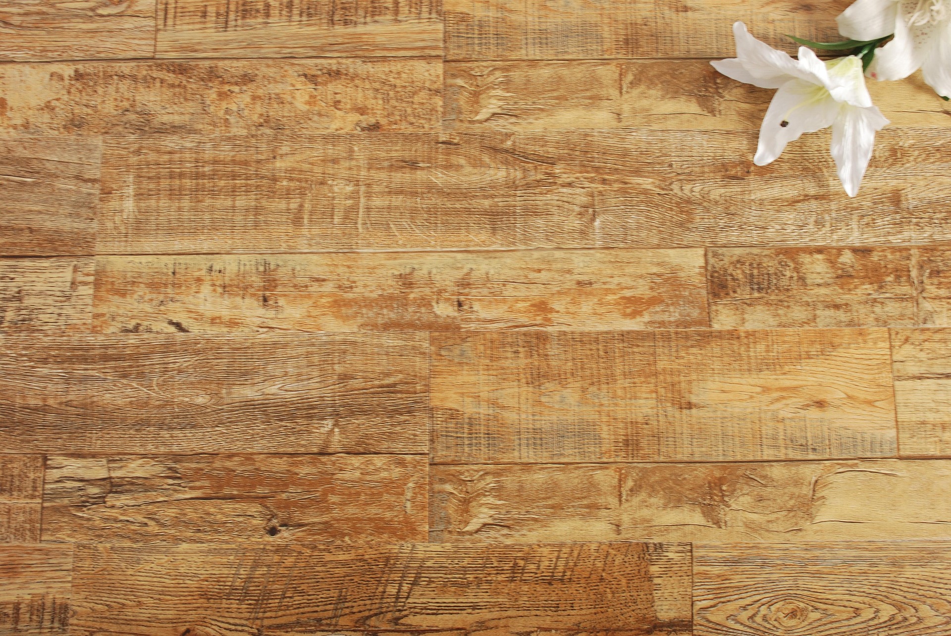 floor-2664422_1920 image