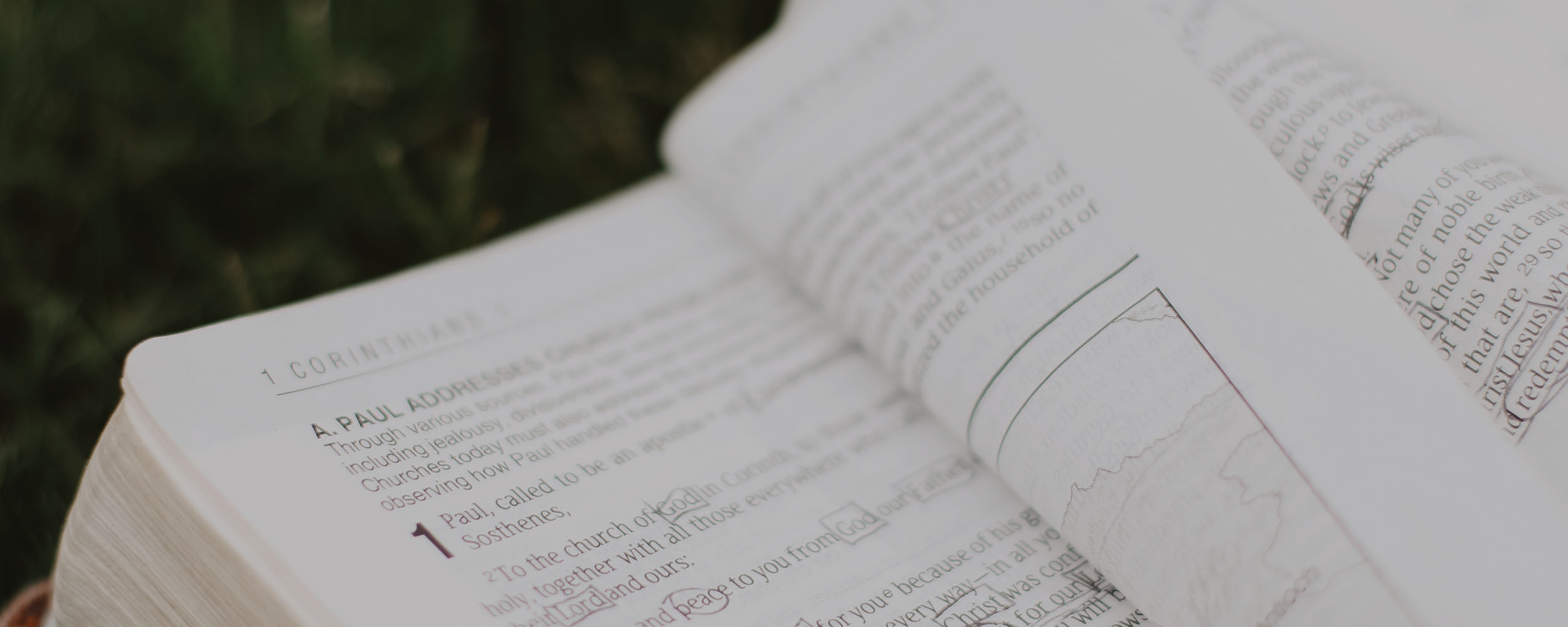 banner