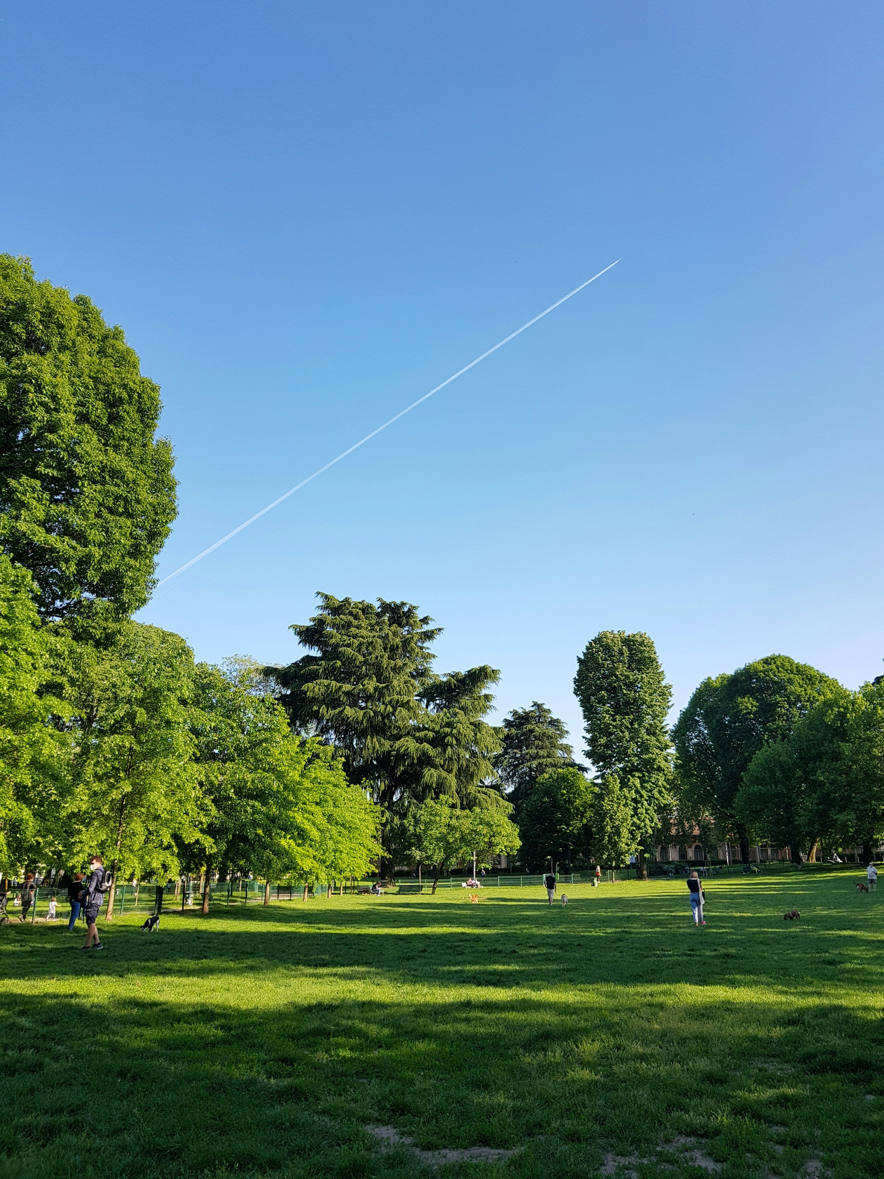 Park Image image