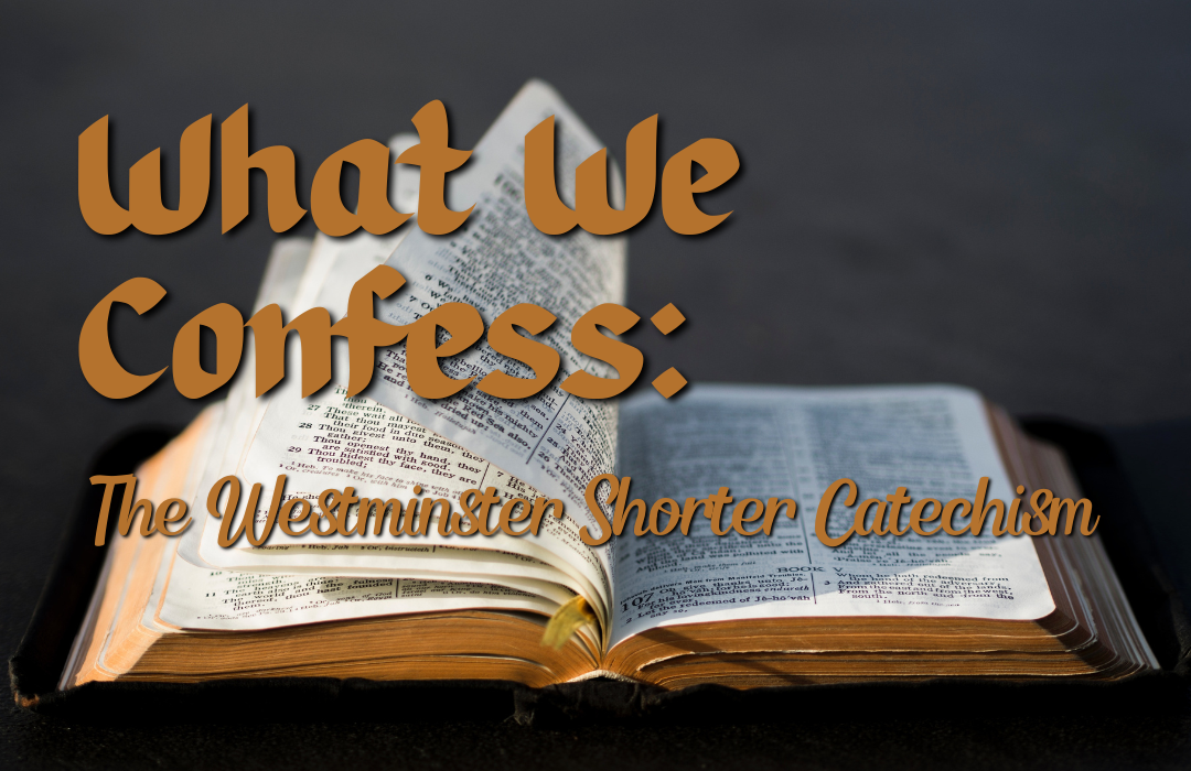What We Confess: The Westminster Shorter Catechism image