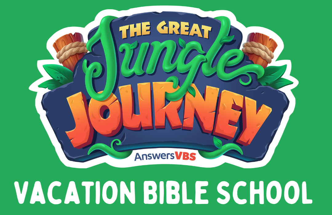 VBS 2024 image