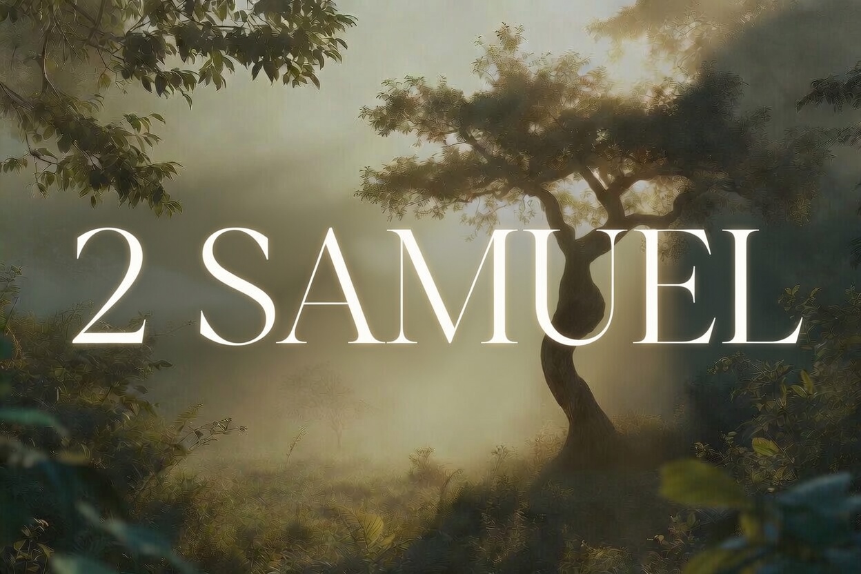 2 Samuel series image