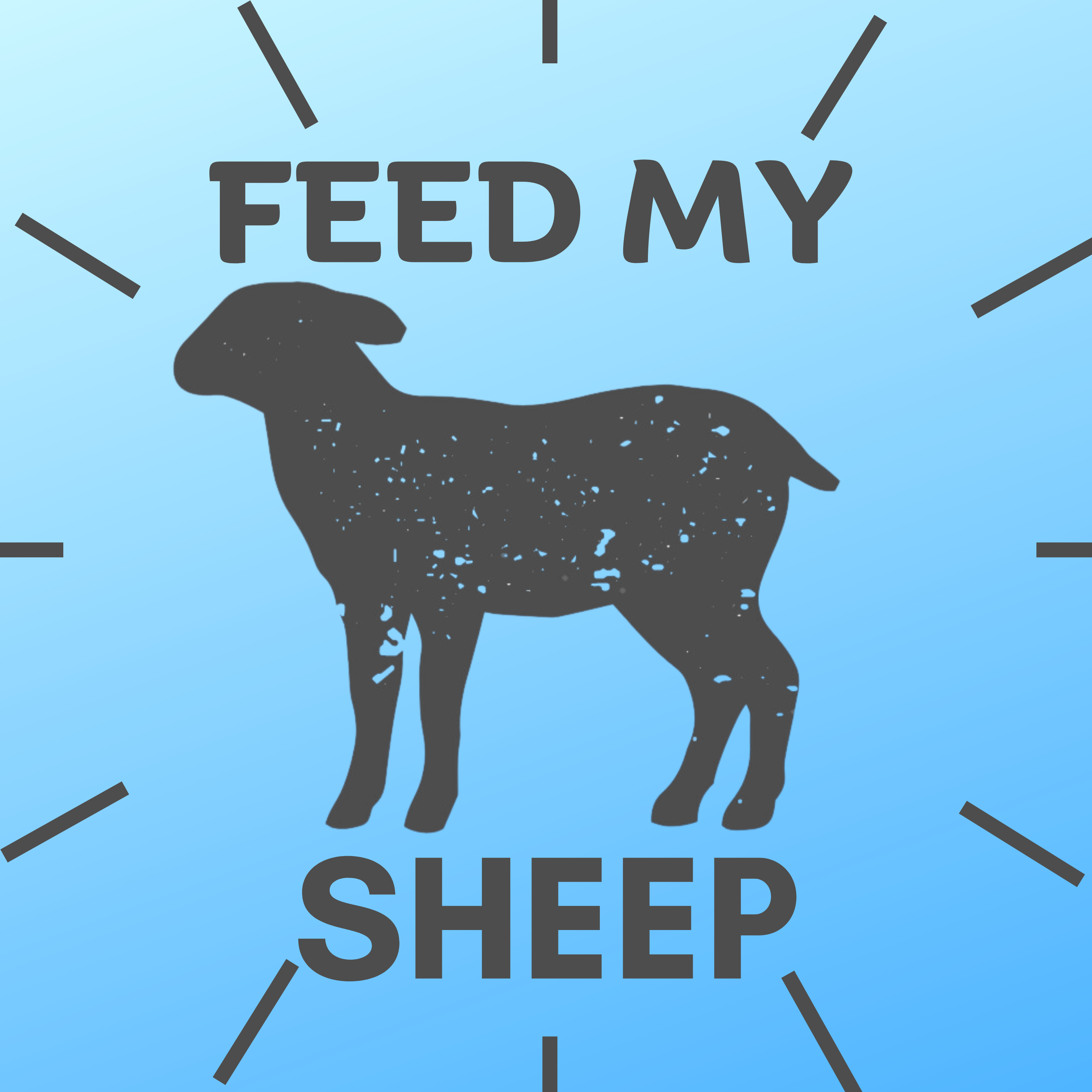 Feed My Sheep