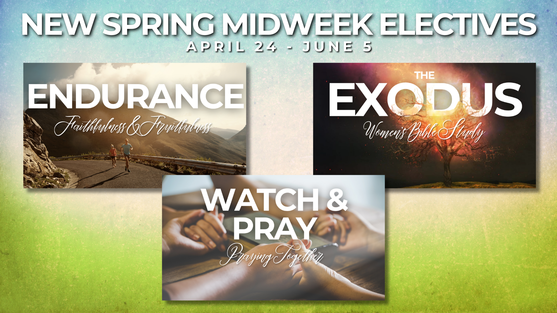 spring25electives