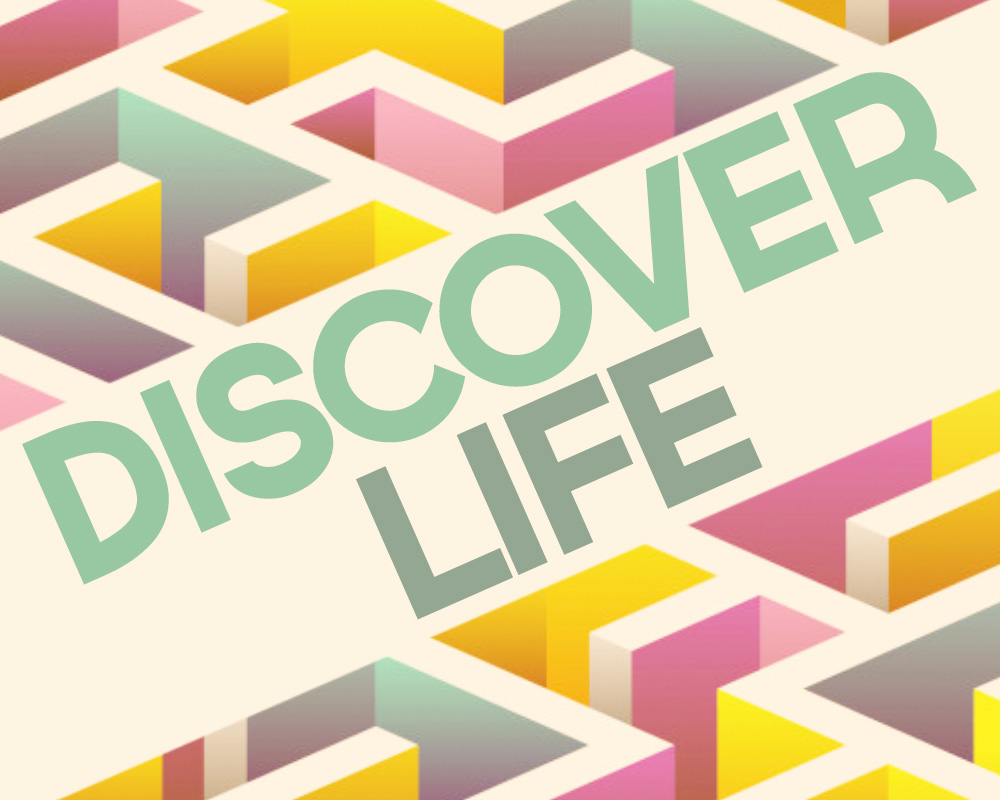 Discover Life image