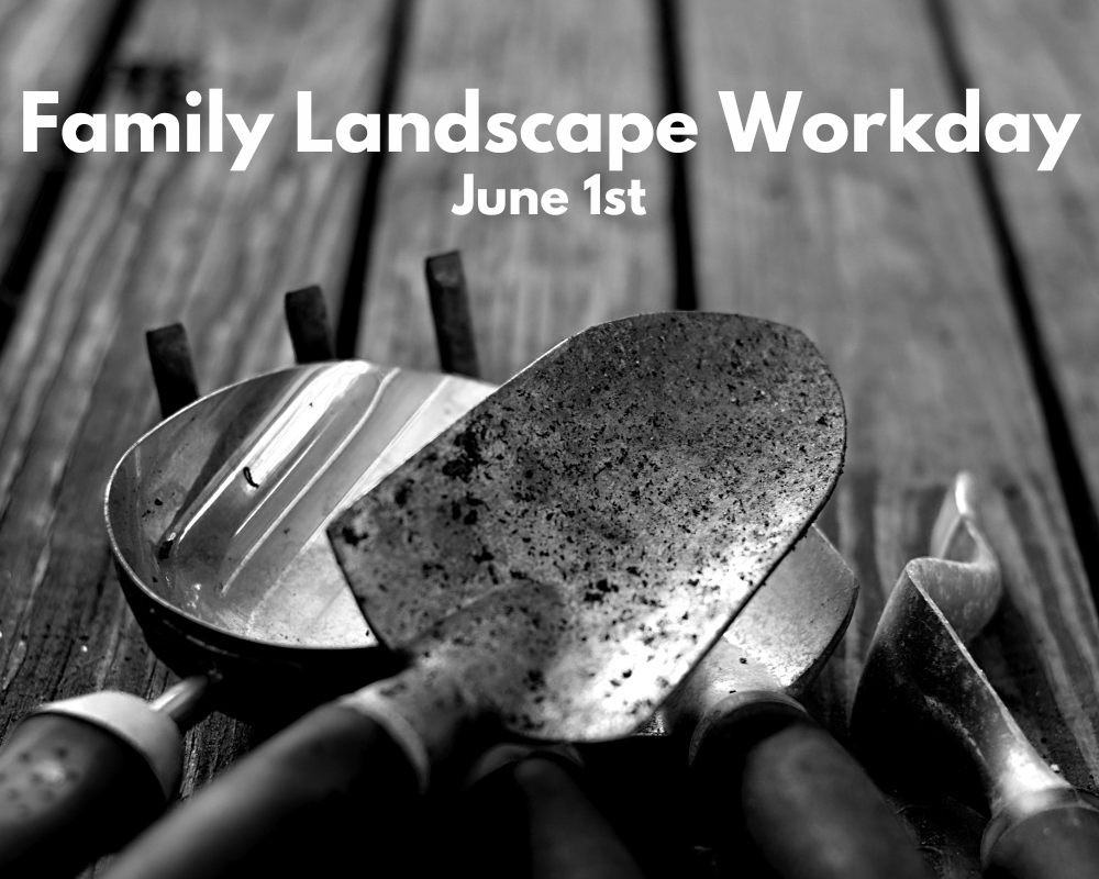 Family Landscape workday (1000 x 800 px) image