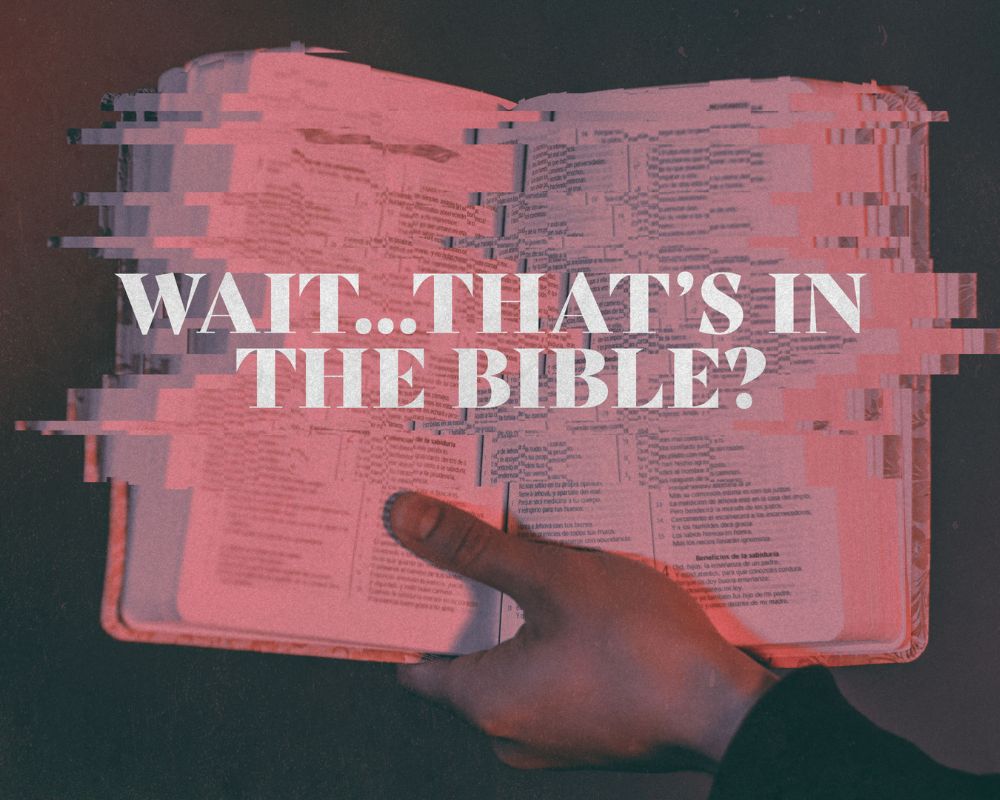 Graphic for Wait...That's int the Bible image