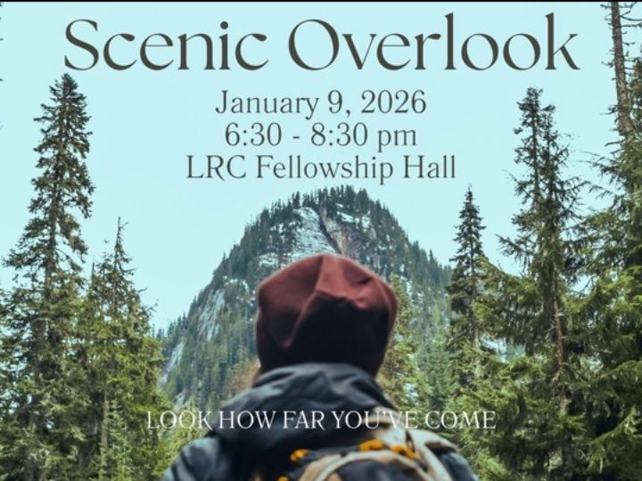 Scenic Overlook Jan 9 2026 image