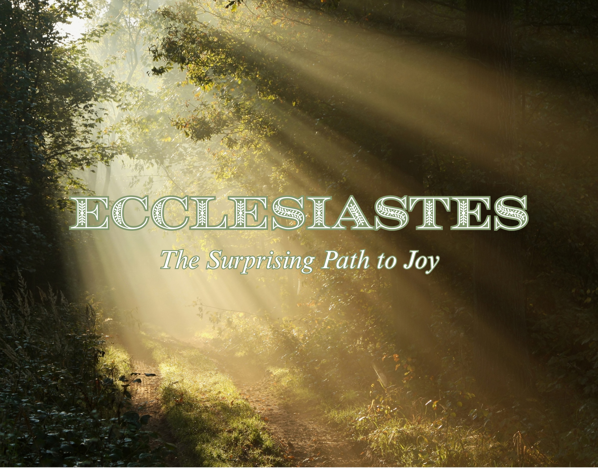 Ecclesiastes - A Surprising Path to Joy series image