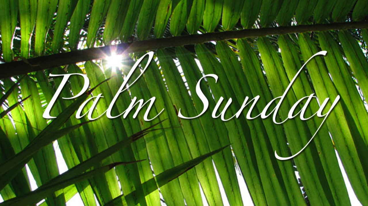 sermon banner image