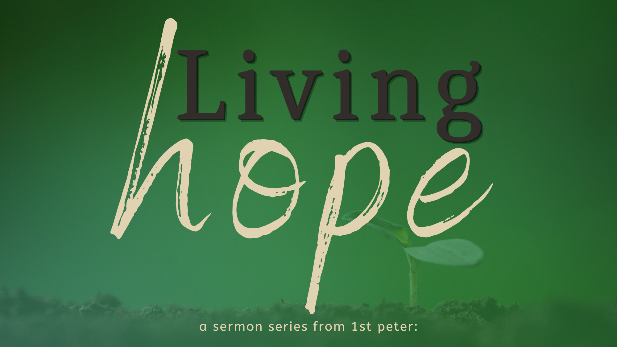 Living Hope image