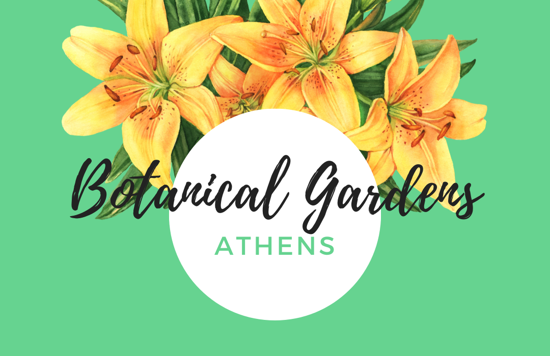 Botanical Gardens featured event image