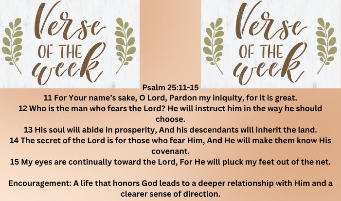 Verse of The Week (701 x 414 px) (16)