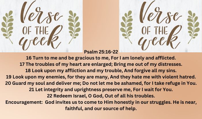 Verse of The Week (701 x 414 px) (17)