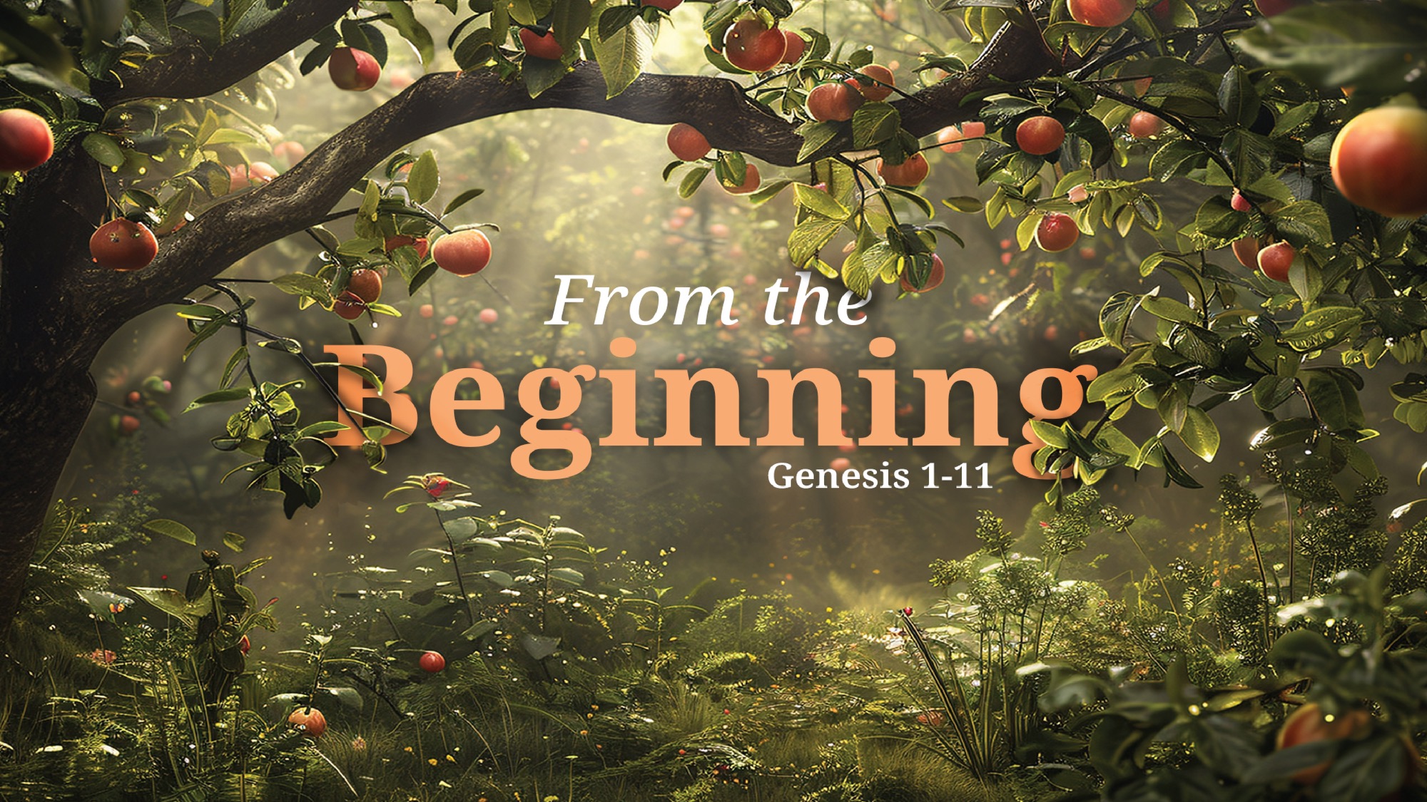 From the Beginning banner