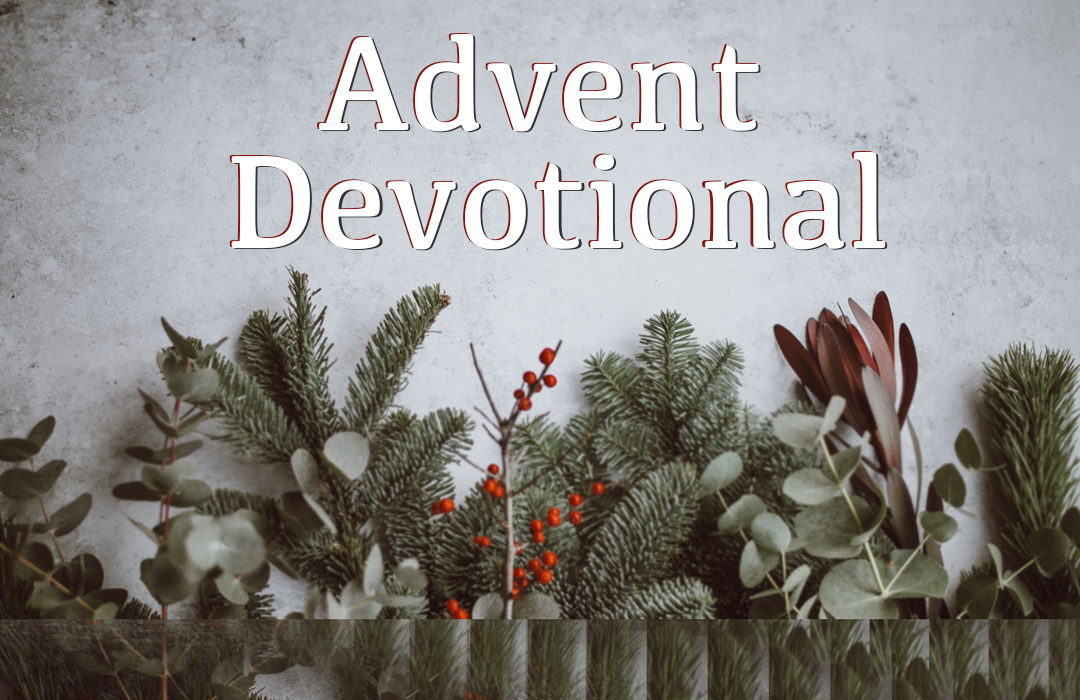 Advent Devotional Feature image