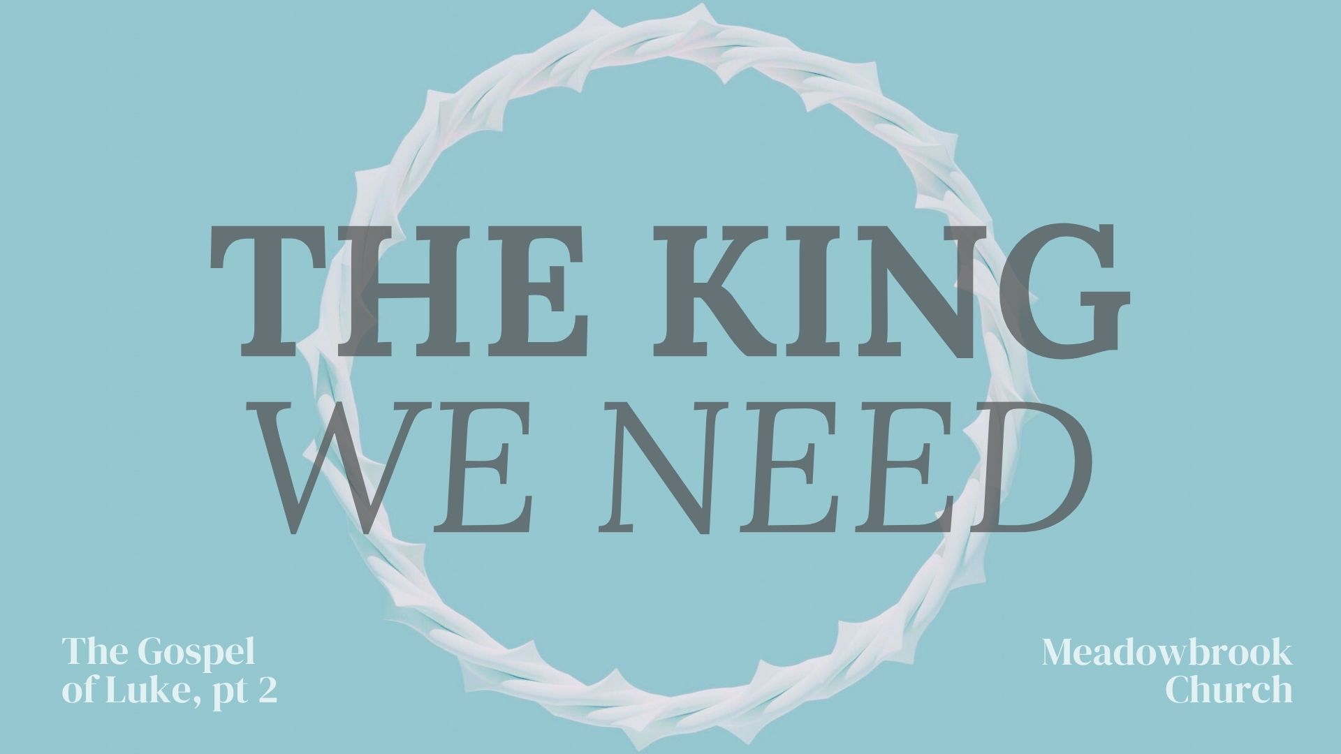 The Gospel of Luke / The King We Need Part 2 banner
