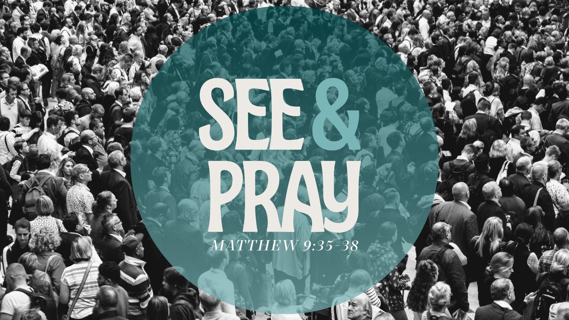 See & Pray banner