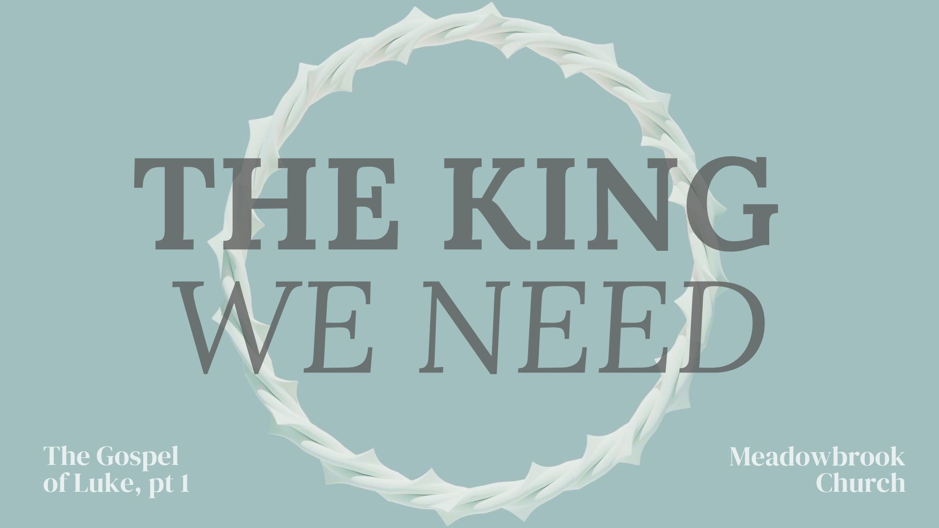 The Gospel of Luke / The King We Need banner