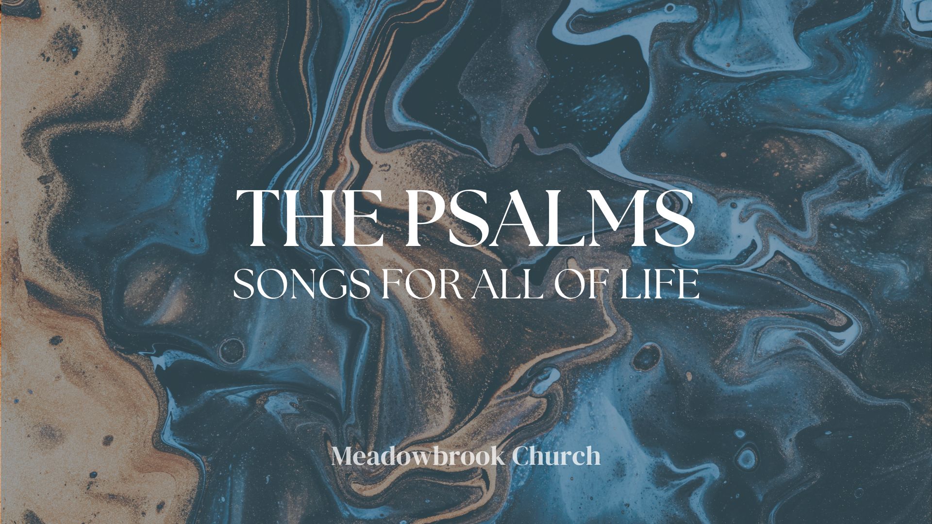 The Psalms: Songs for All of Life (2023) banner