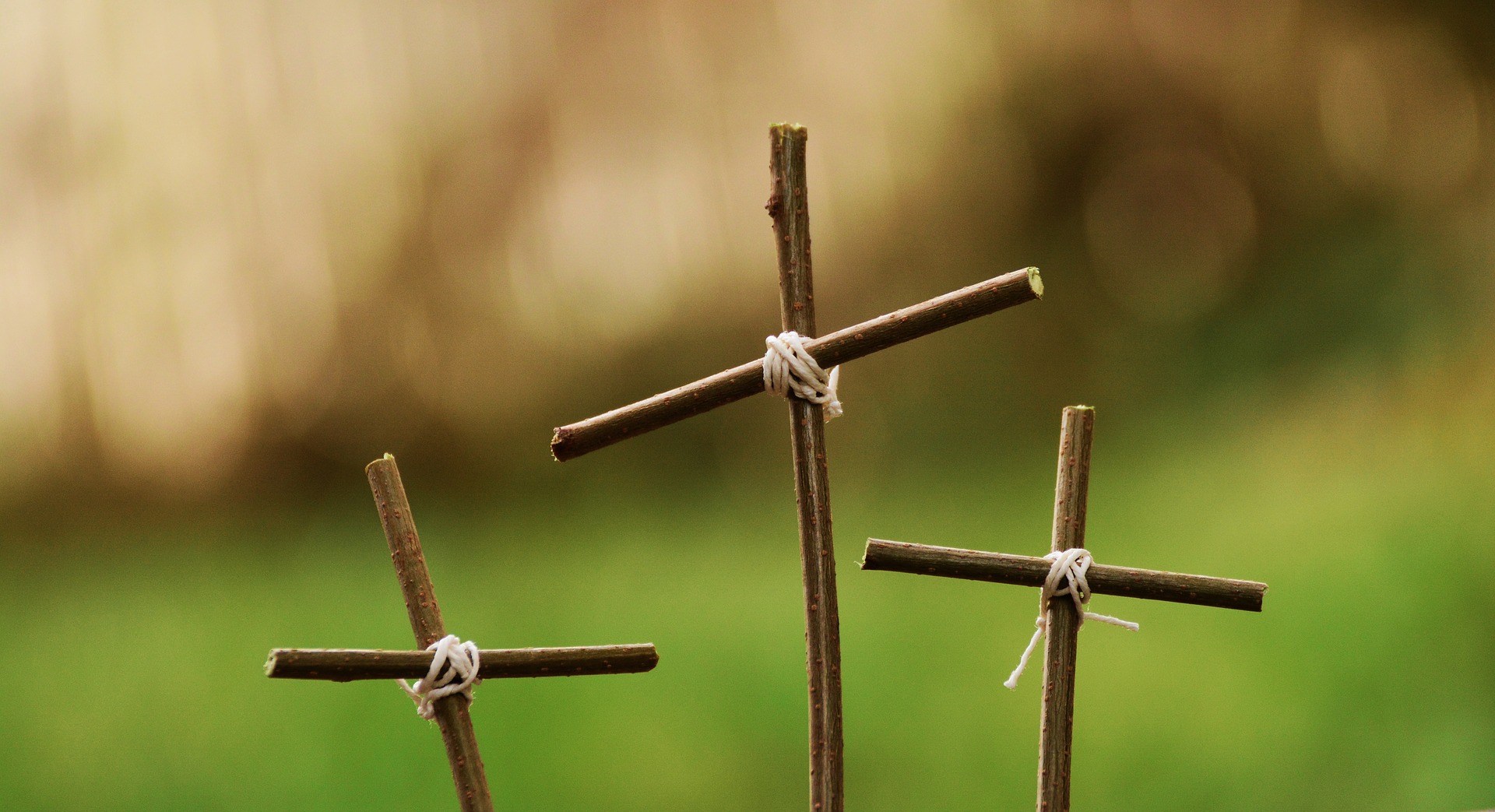 crosssticks