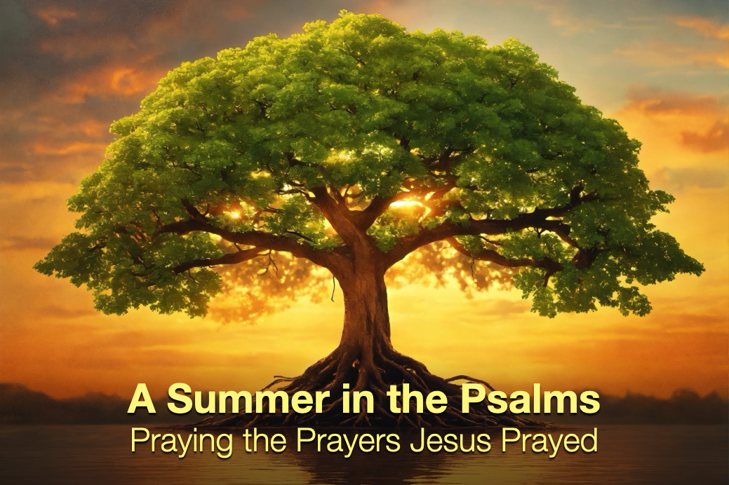 Summer in the Psalms