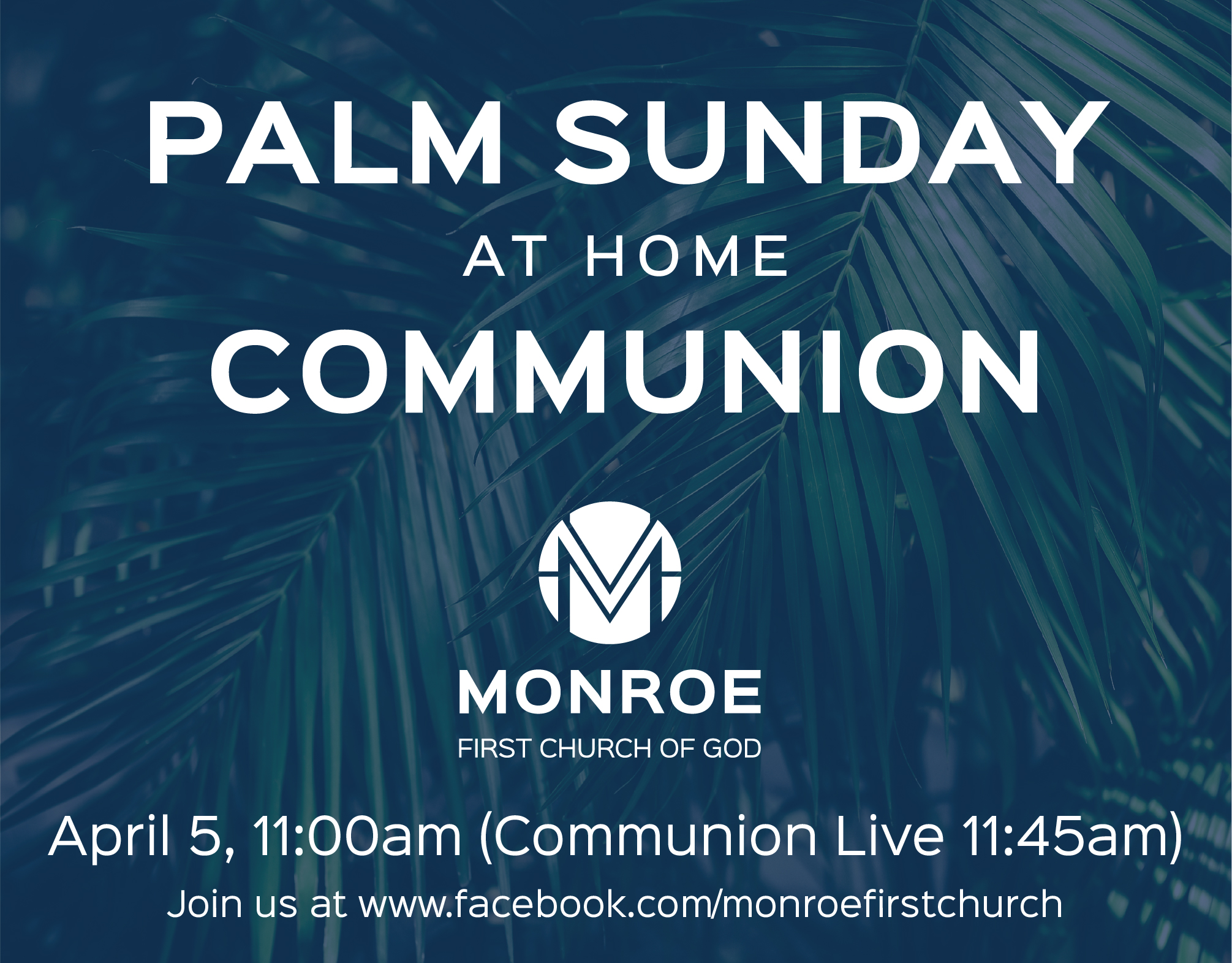 Palm Sunday graphic revised