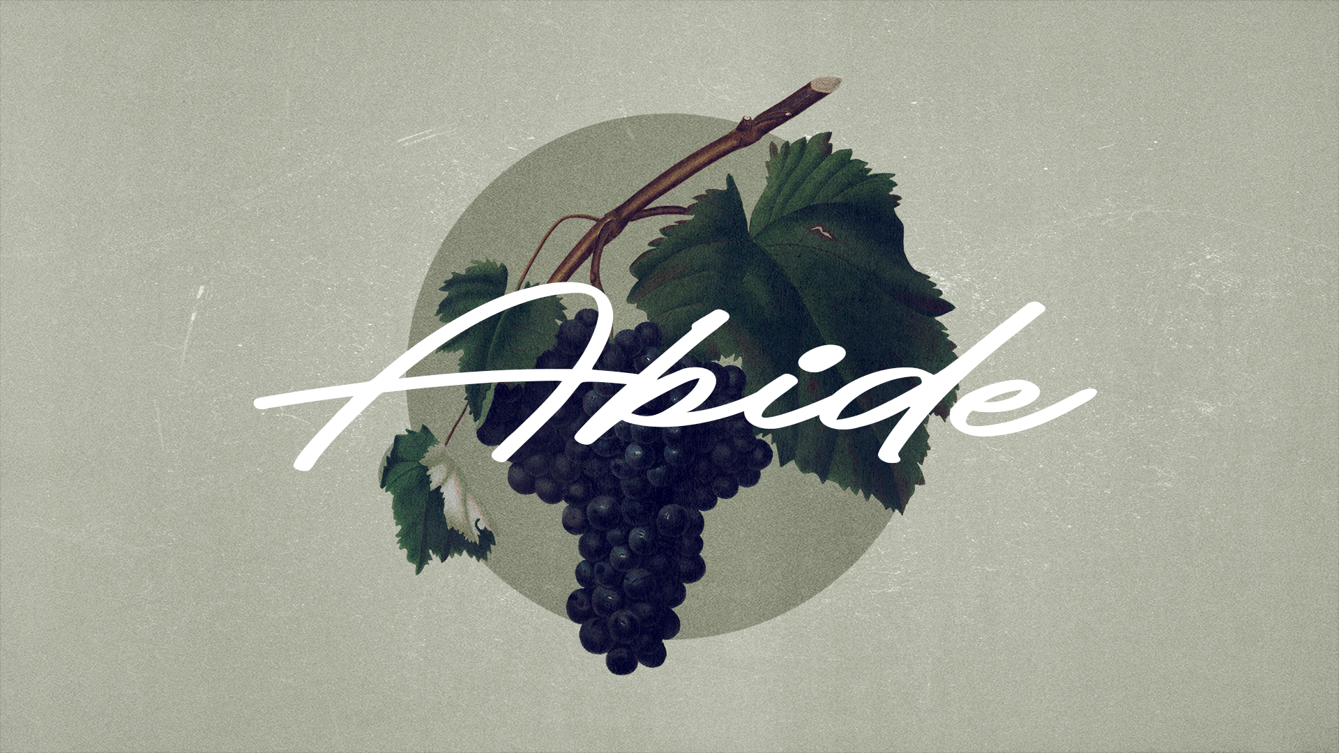 Abide Main