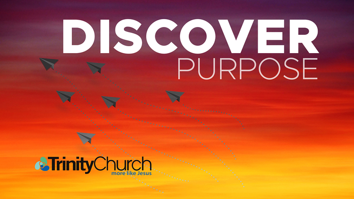 Discover Purpose image