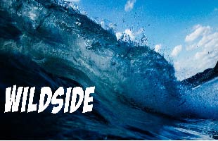Featured Event Generic Wildside image