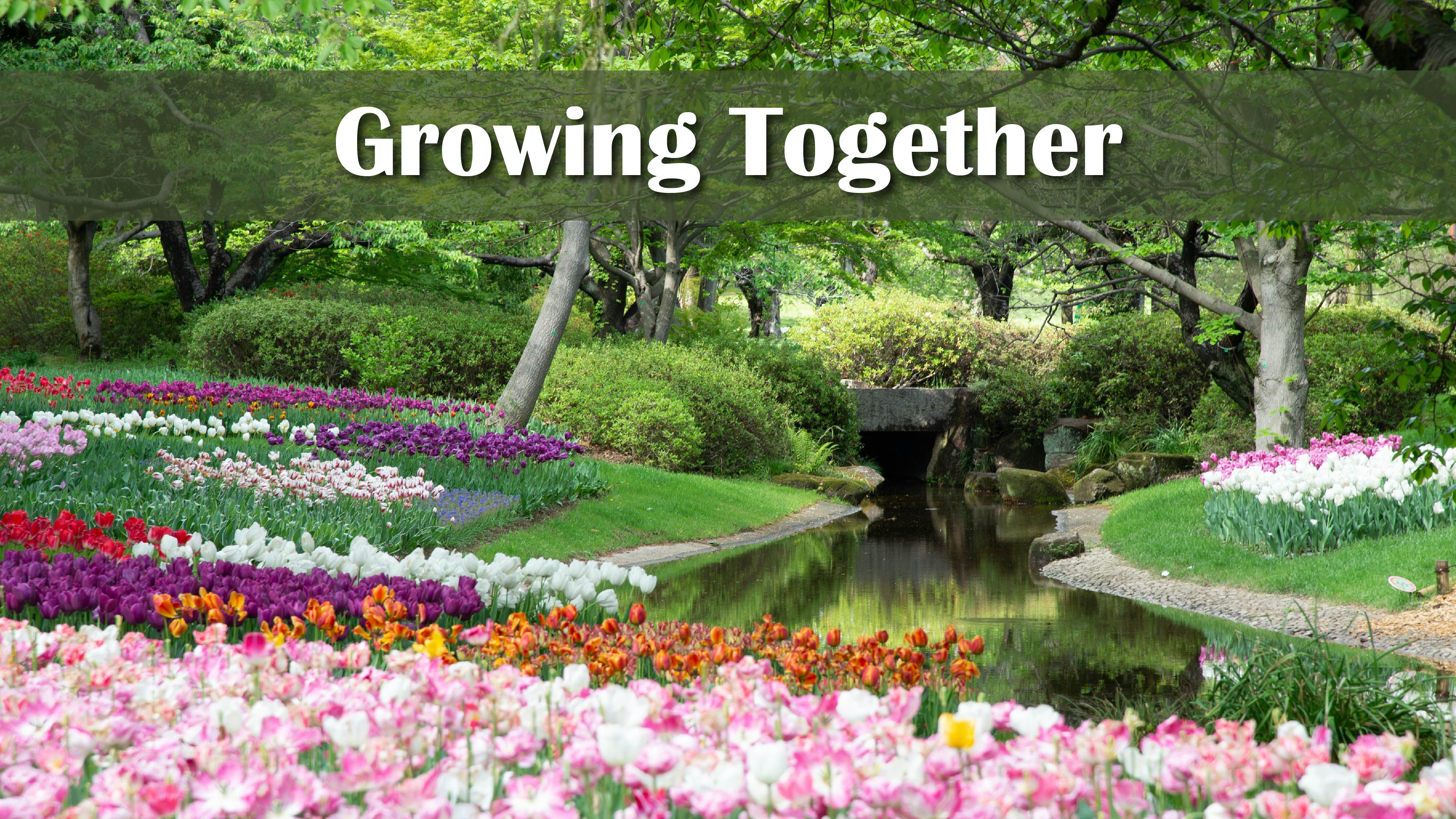 sermon banner image