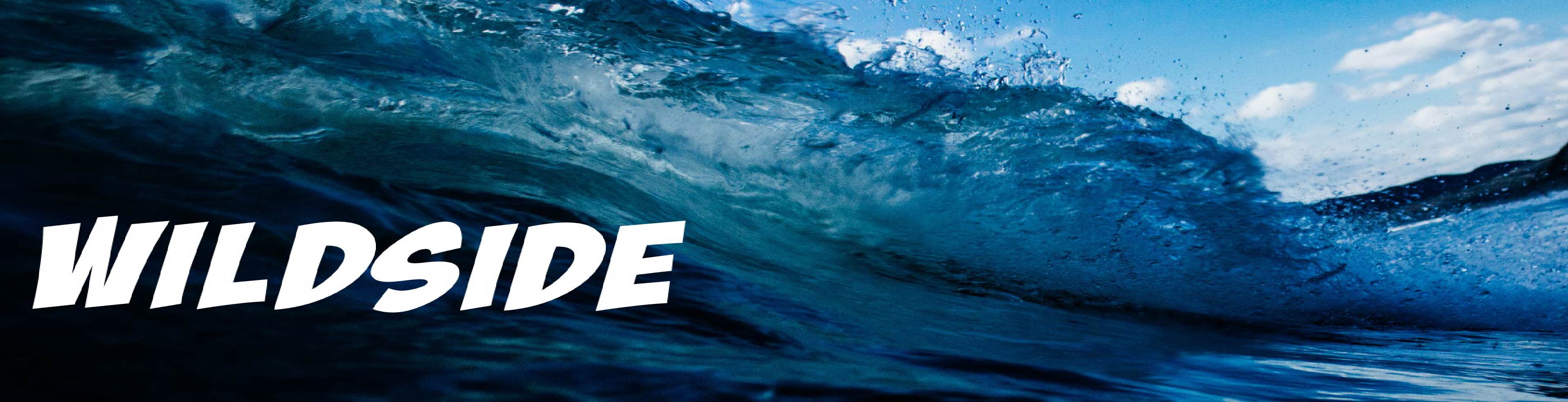 page banner image