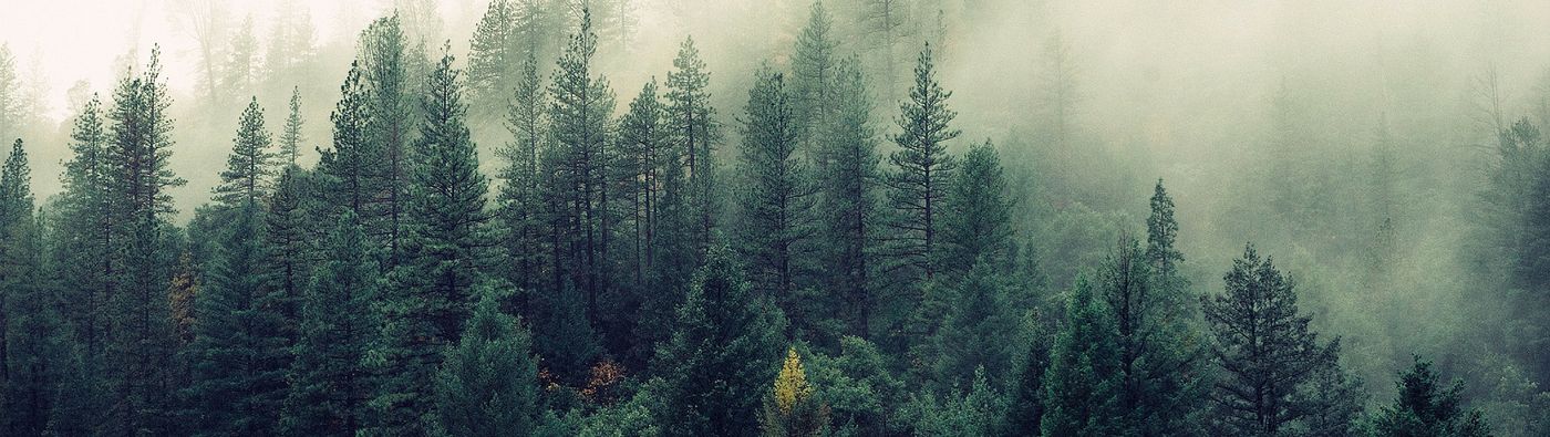 About Header 2 image