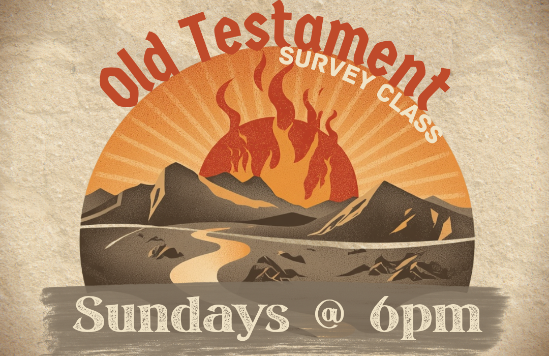 OT Survey WEB