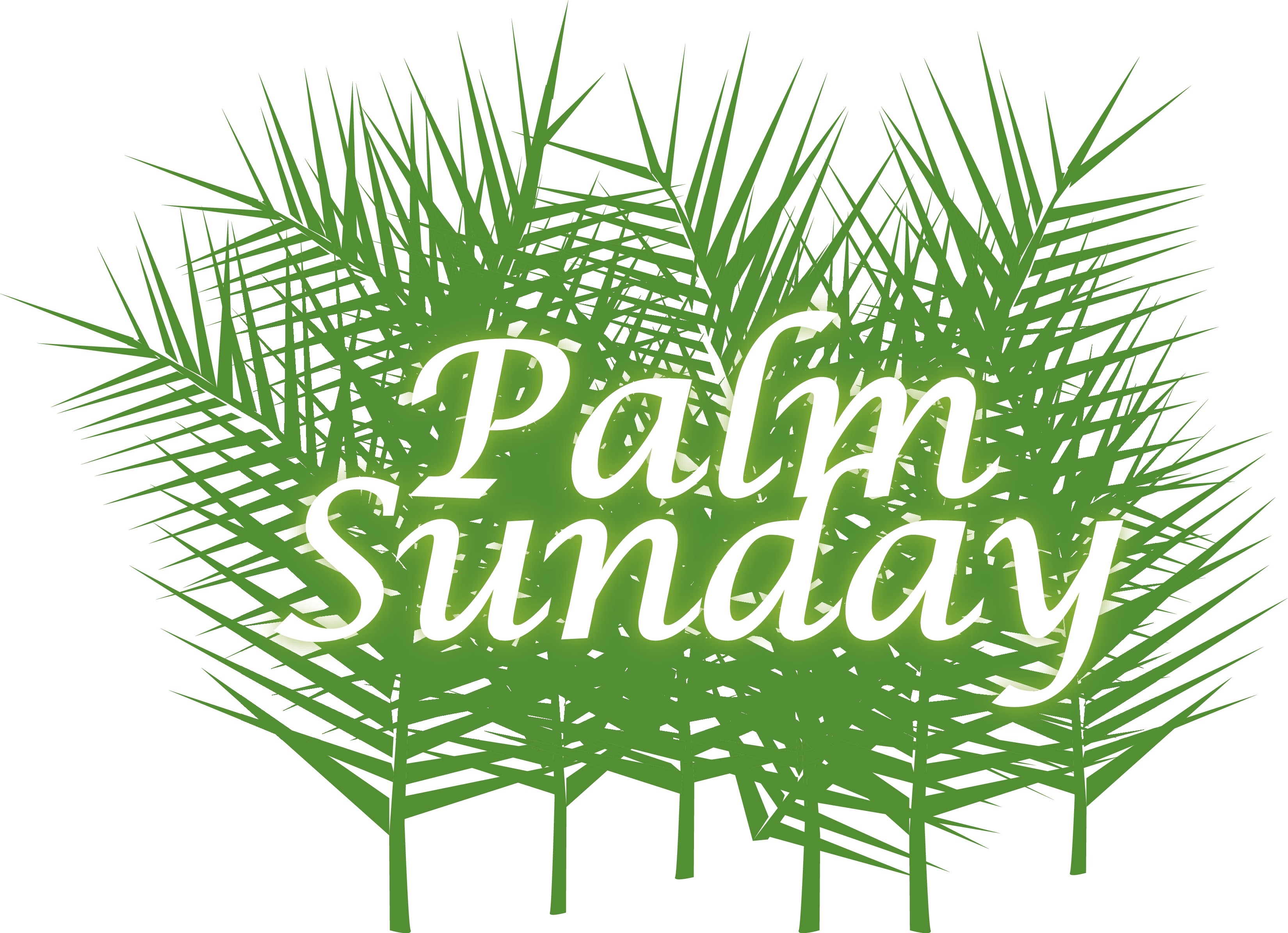 Palms-OF-Palm-Sunday image