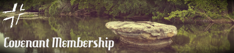 Covenant Sunday image