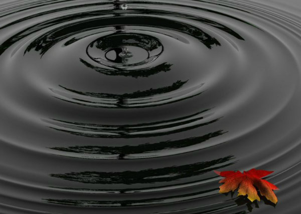 ripple 2.0