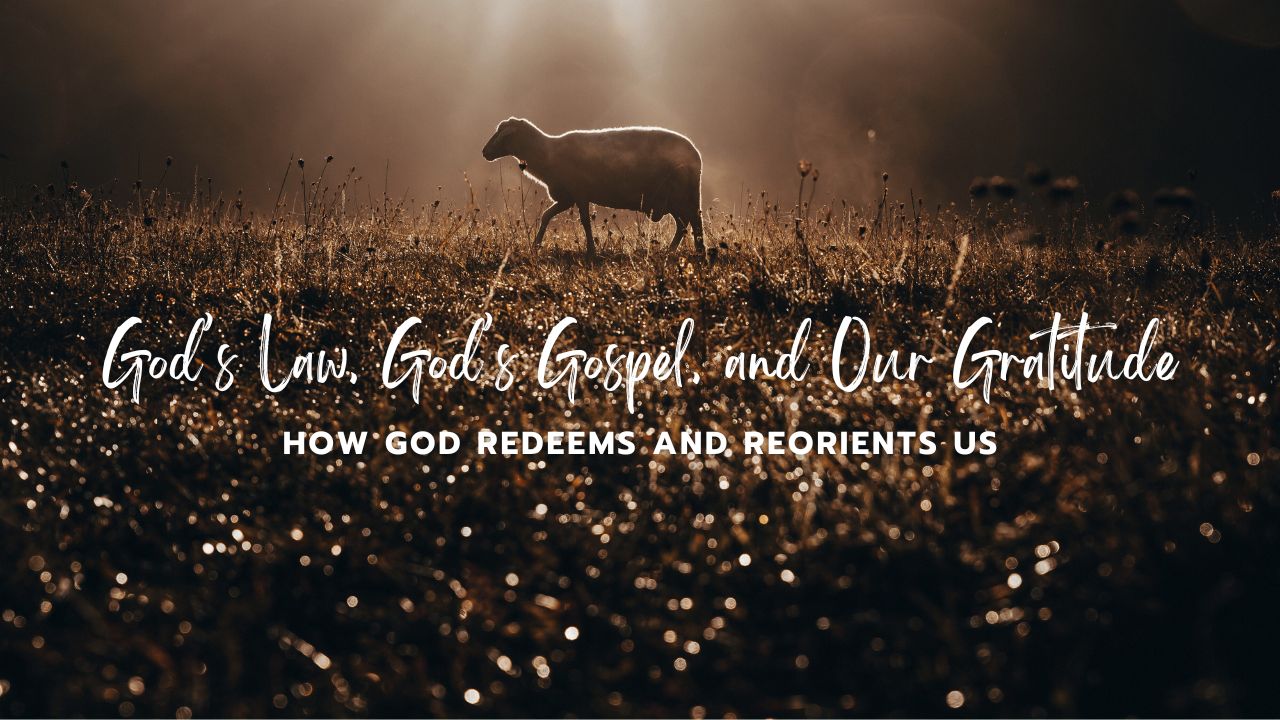 Blog Post - God's Law, God's Gospel, and Our Gratitude