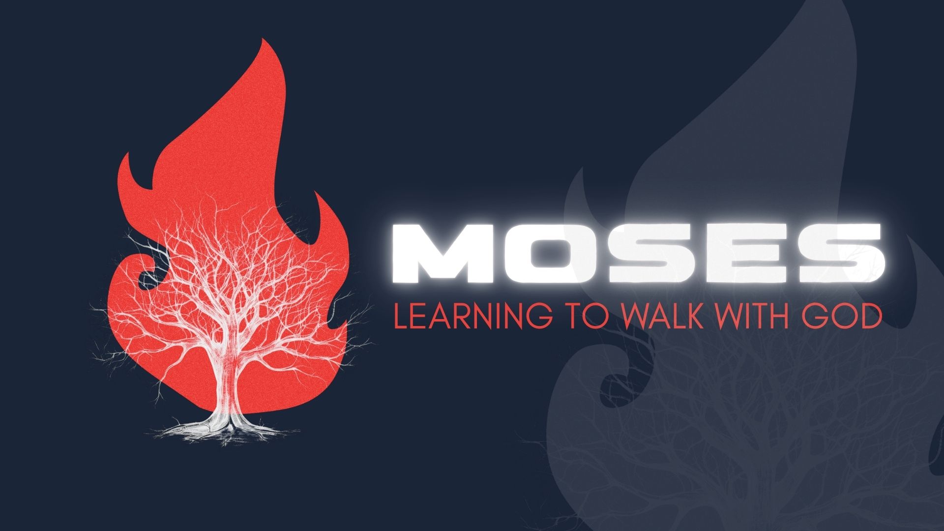 Moses - Learning to Walk with God banner