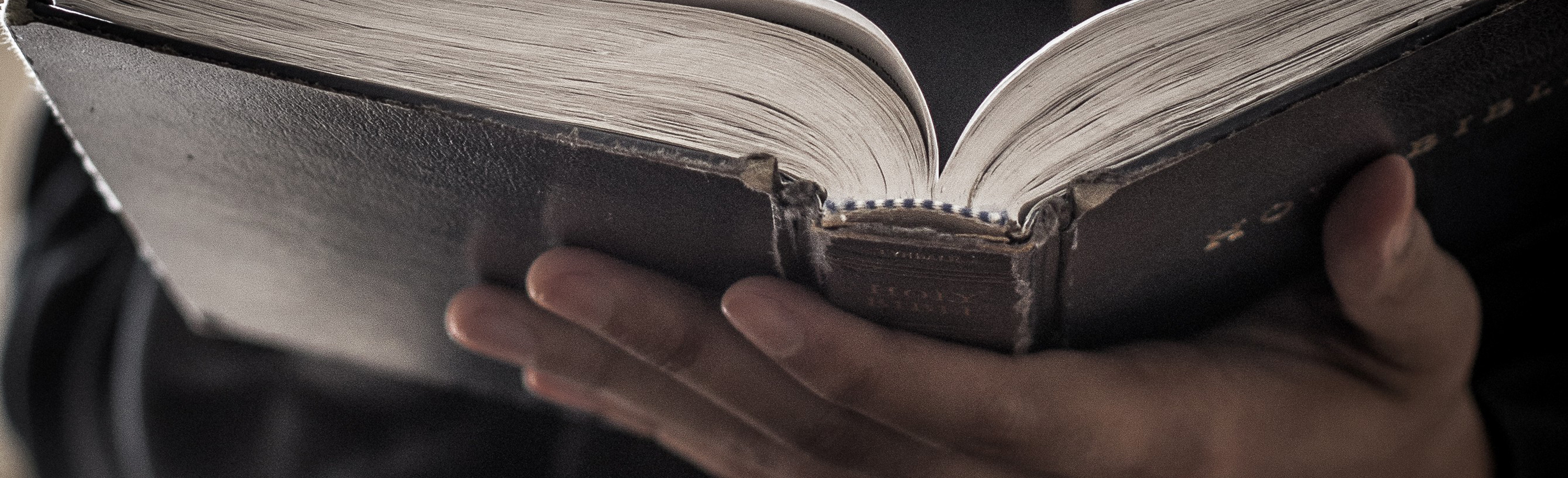 biblereadstock