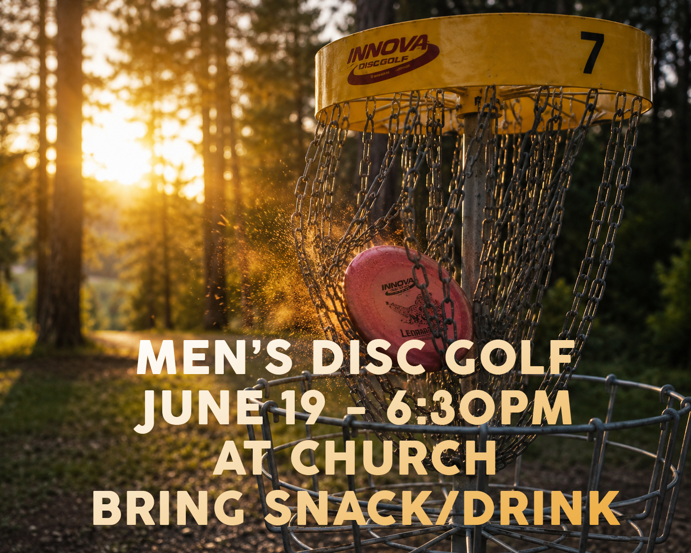 Mens Disc Golf