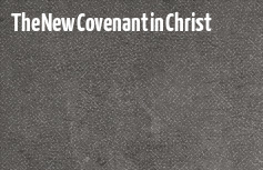 The New Covenant in Christ series image