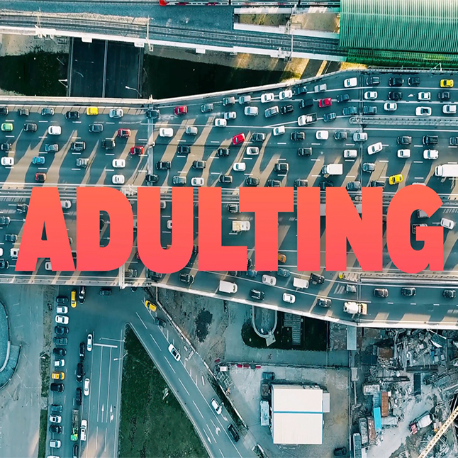 Adulting banner