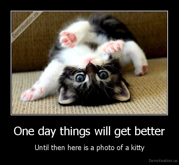 demotivation.us_One-day-things-will-get-better-Until-then-here-is-a-photo-of-a-kitty_139219272482