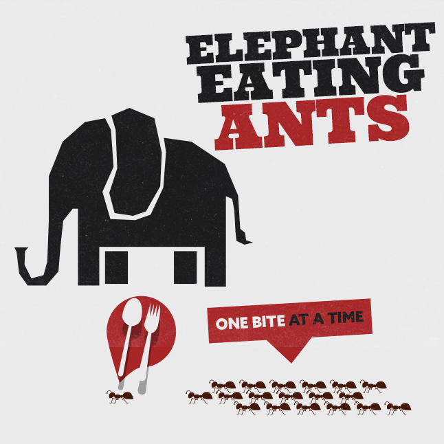 Elephant Eating Ants