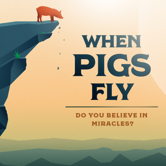 When Pigs Fly banner