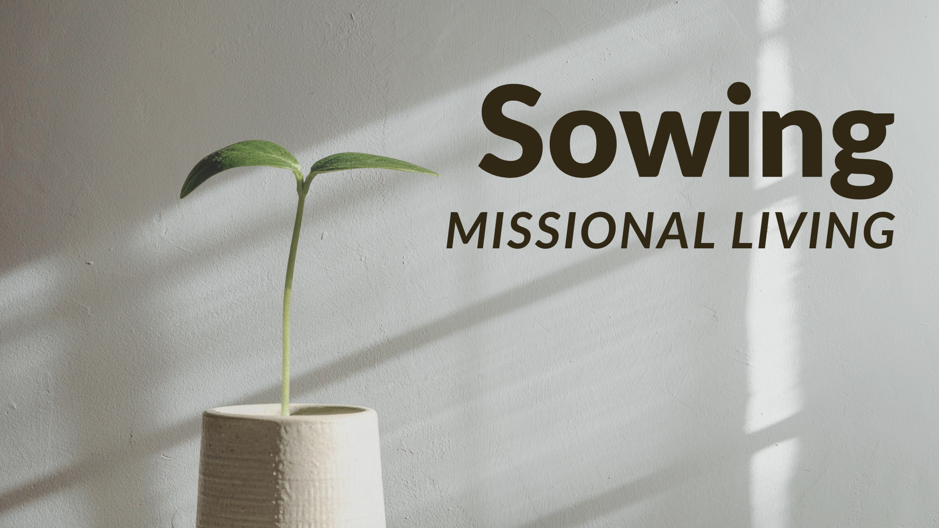 Sowing: Missional Living series image