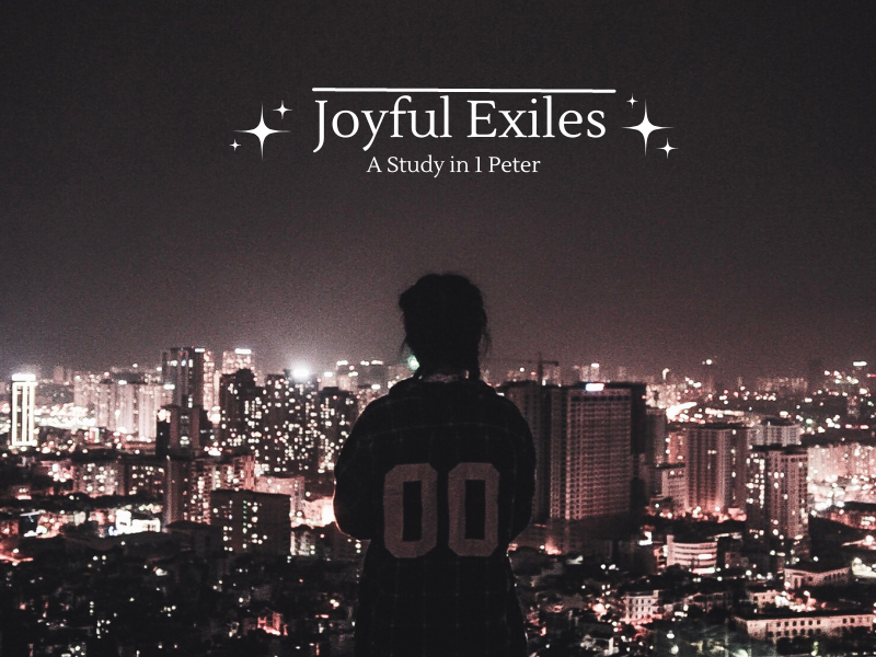 Joyful Exiles image