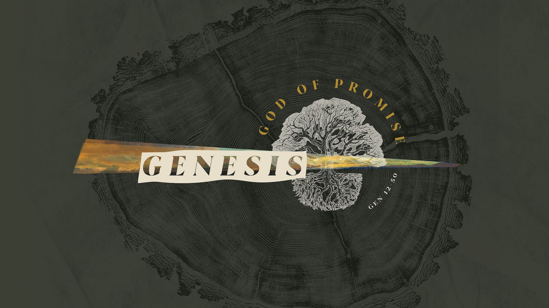 Genesis: God of Promise banner