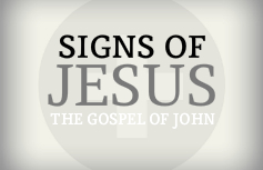 Signs of Jesus banner